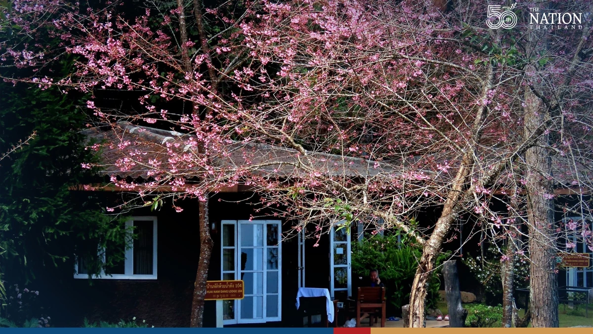 Chiang Mais Huai Nam Dang National Park beckons as temperatures drop