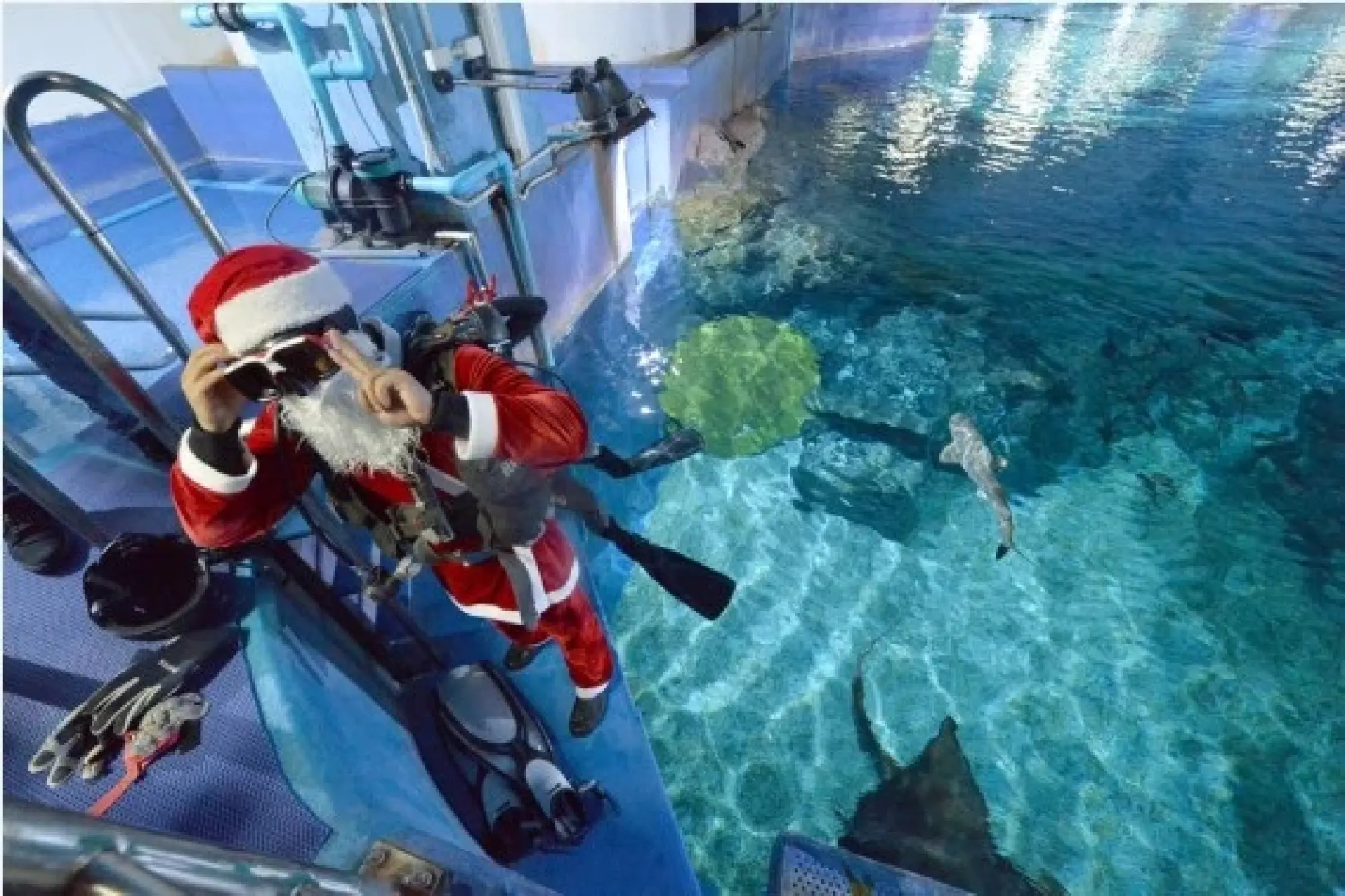 A diver dressed in a Santa Claus costume prepares to feed fish at the Bangkok Ocean World in Bangkok, Thailand, Dec. 8, 2021. (Xinhua/Rachen Sageamsak)