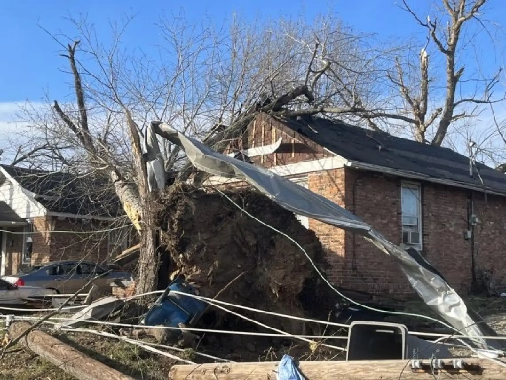 Photo taken on Dec. 11, 2021 shows a tree toppled in tornadoes in Mayfield, Kentucky, the United States. (Photo by Caromirna Sanchez/Xinhua)