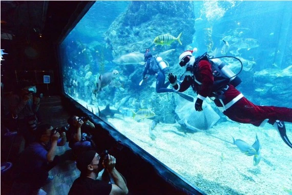 Visitors take photos of a diver dressed in a Santa Claus costume at the Bangkok Ocean World in Bangkok, Thailand, Dec. 8, 2021. (Xinhua/Rachen Sageamsak)