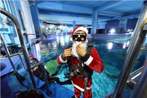 A diver dressed in a Santa Claus costume prepares to feed fish at the Bangkok Ocean World in Bangkok, Thailand, Dec. 8, 2021. (Xinhua/Rachen Sageamsak)