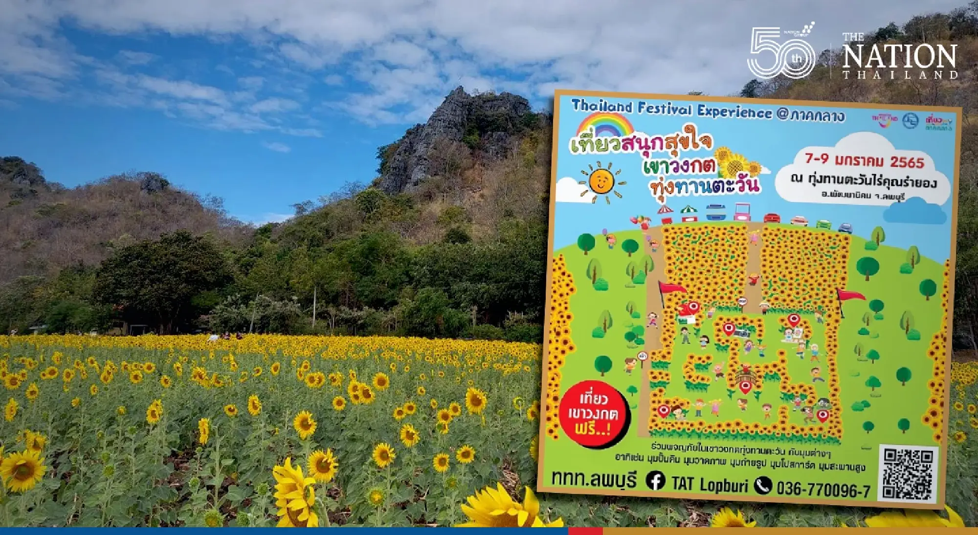 TAT turns Lopburi sunflower field into a maze