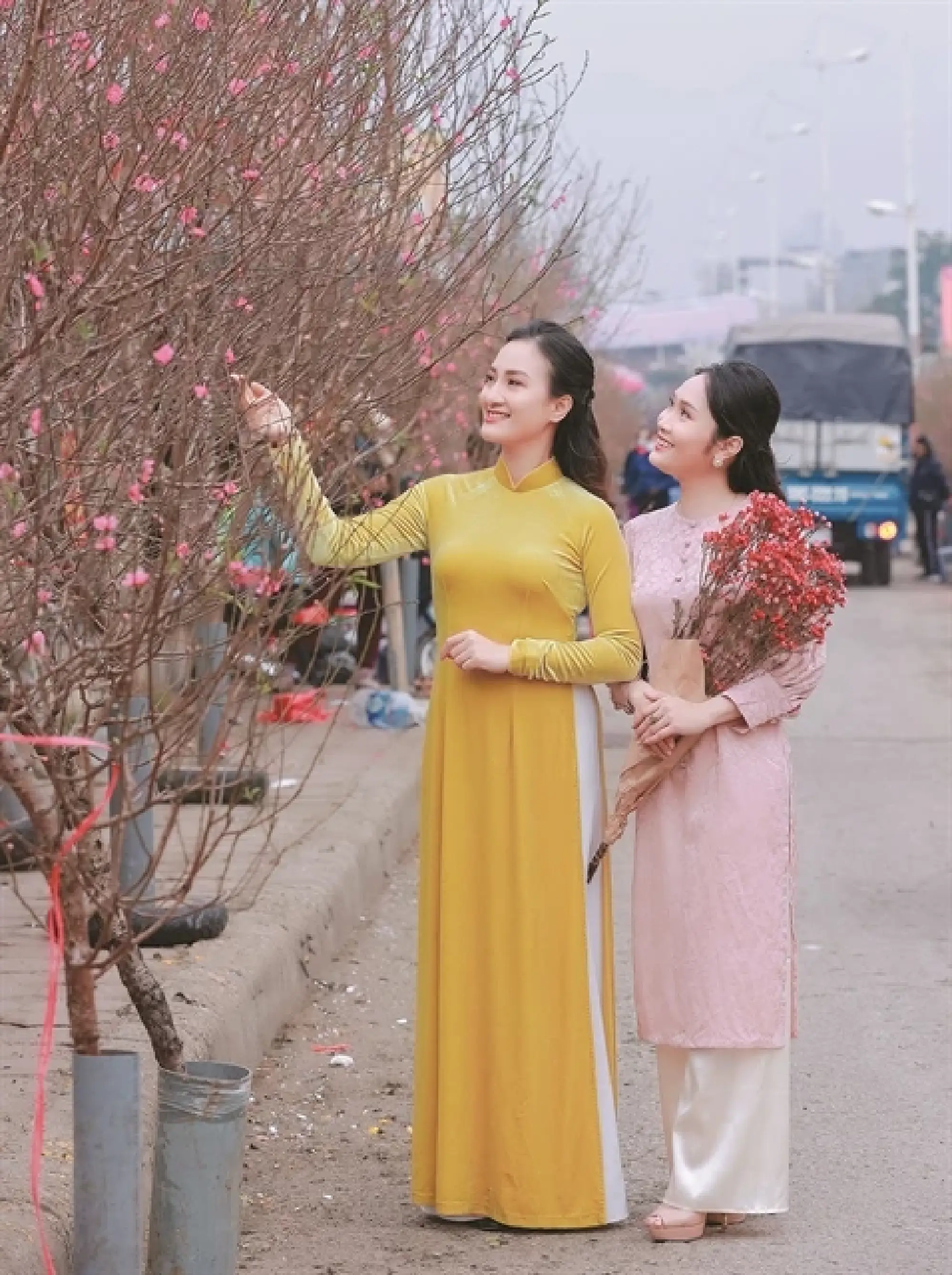 Quảng Bá Market sells all kinds of peach blossoms. — VNS Photo Trương Vị