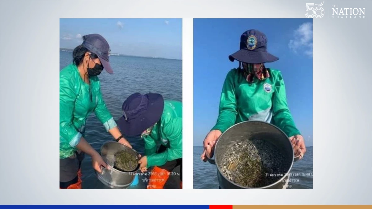 Marine ecosystem generally unaffected by oil leak, claim authorities