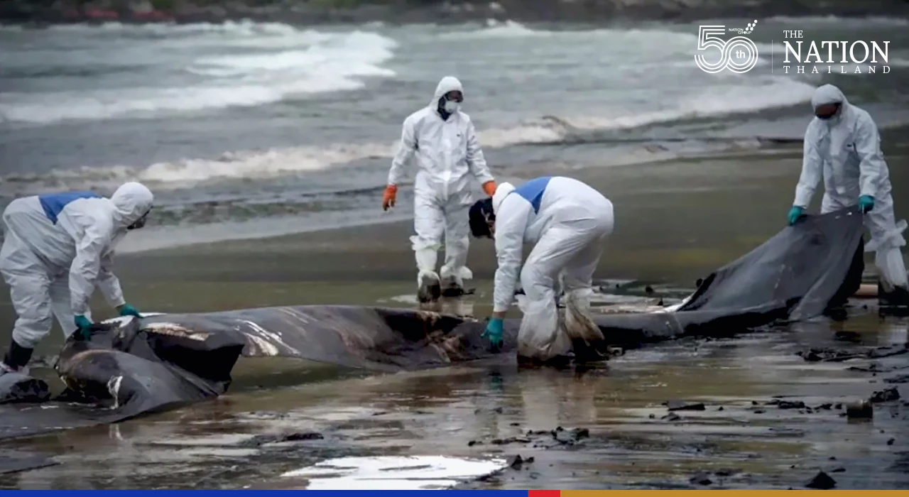 Impact of Rayong oil spill on marine ecosystem will only be visible in a year, says researcher