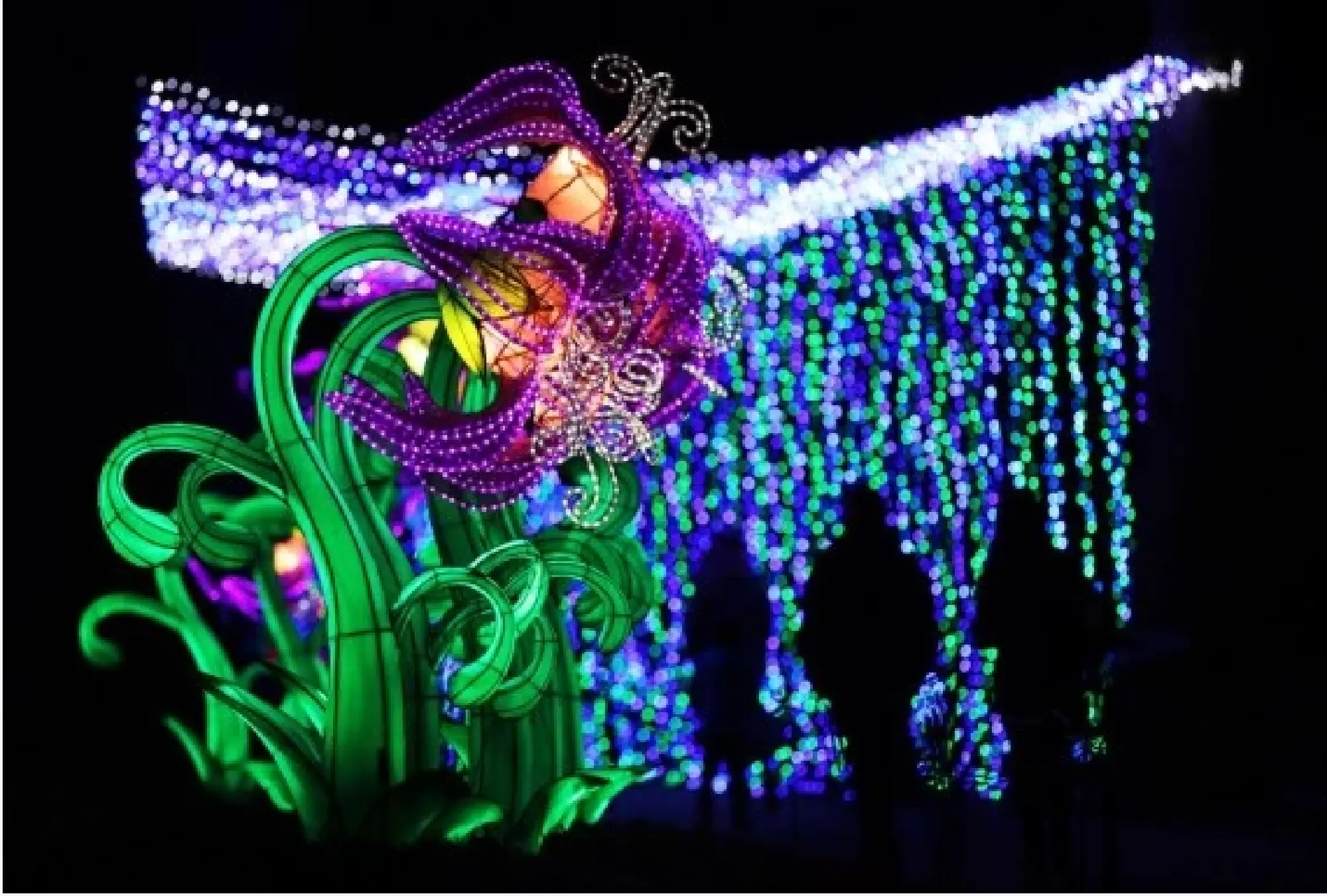  Illuminated sculptures are on display during a light festival at Thoiry zoo near Paris, France, Feb. 13, 2022. (Xinhua/Gao Jing)
