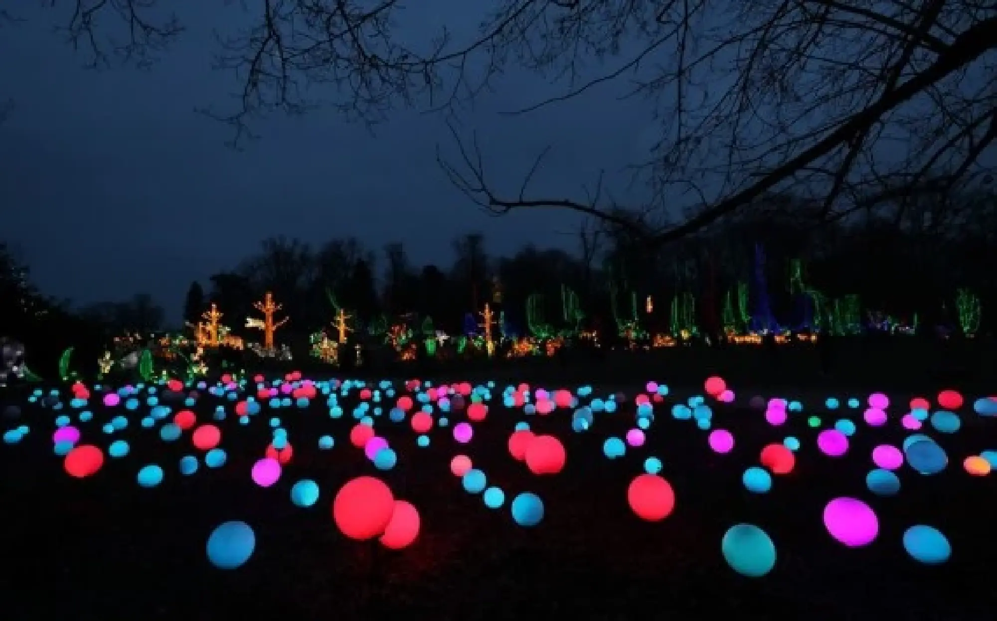 Illuminated sculptures are on display during a light festival at Thoiry zoo near Paris, France, Feb. 13, 2022. (Xinhua/Gao Jing)