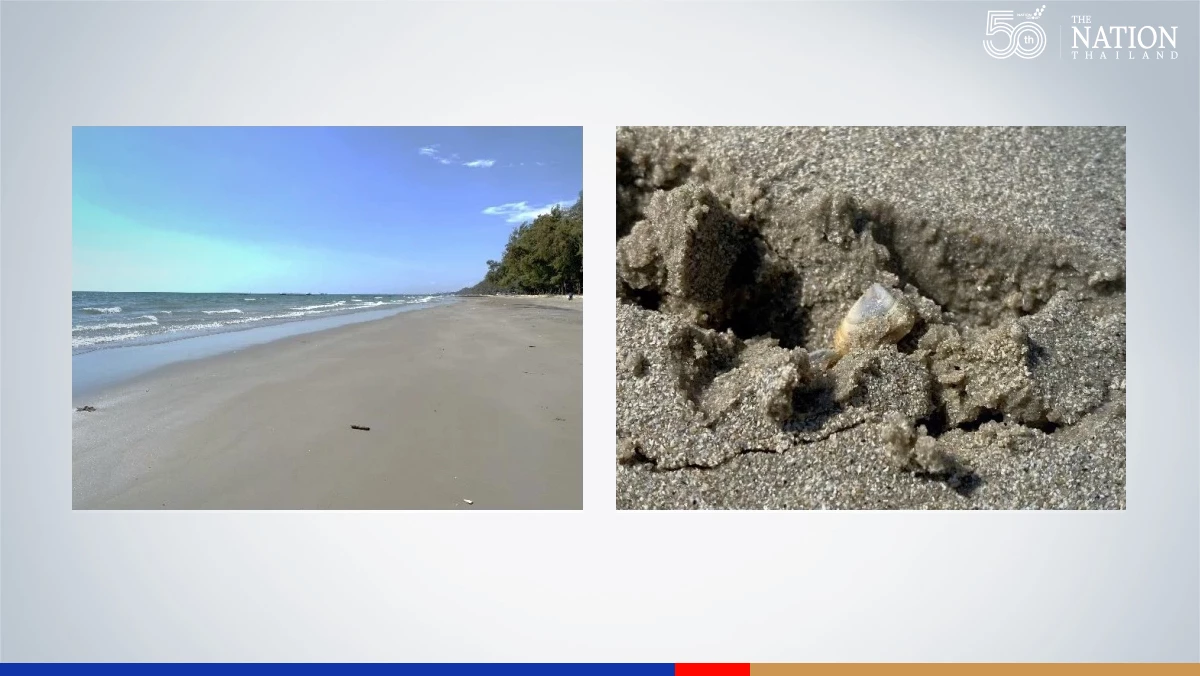 Marine ecosystem generally unaffected by oil leak, claim authorities