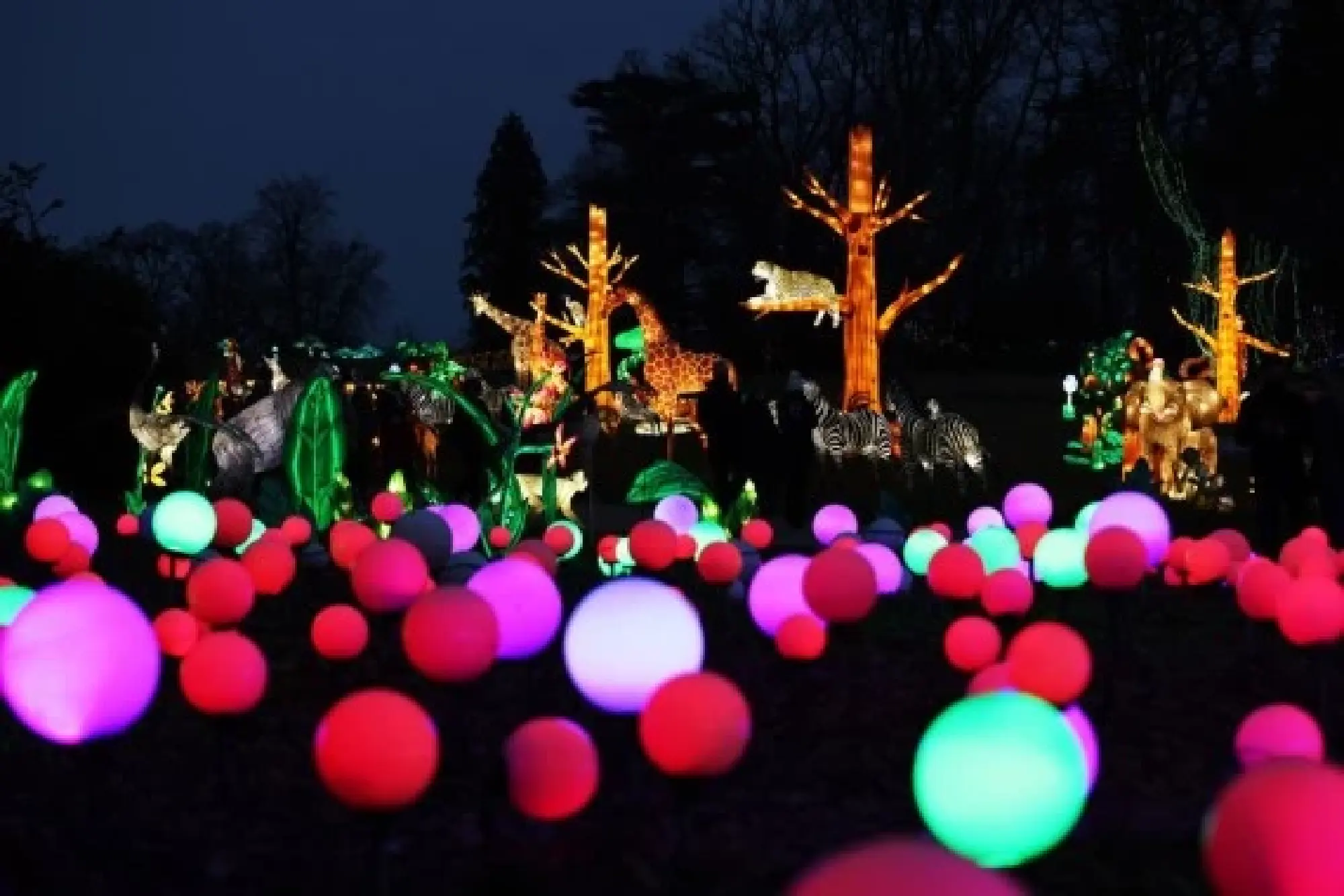  Illuminated sculptures are on display during a light festival at Thoiry zoo near Paris, France, Feb. 13, 2022. (Xinhua/Gao Jing)