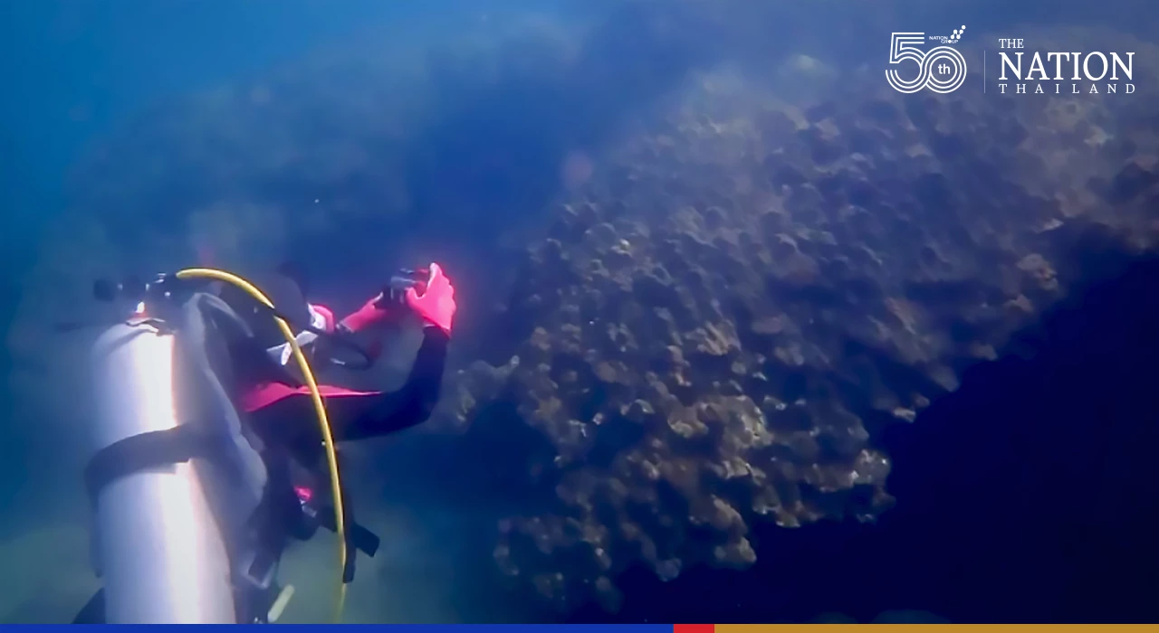 Impact of Rayong oil spill on marine ecosystem will only be visible in a year, says researcher