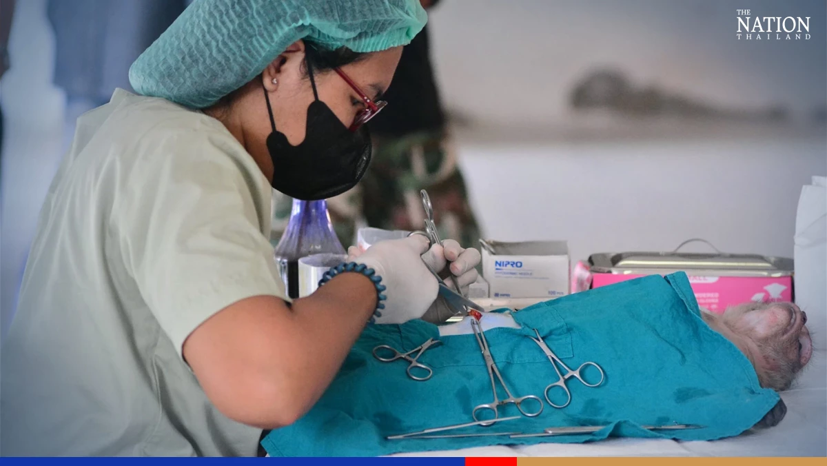 Phetchaburi macaques neutered to defuse population explosion