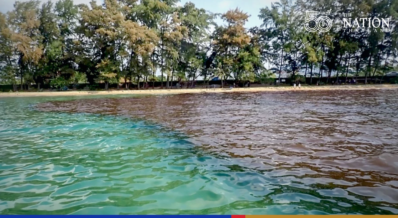 Impact of Rayong oil spill on marine ecosystem will only be visible in a year, says researcher