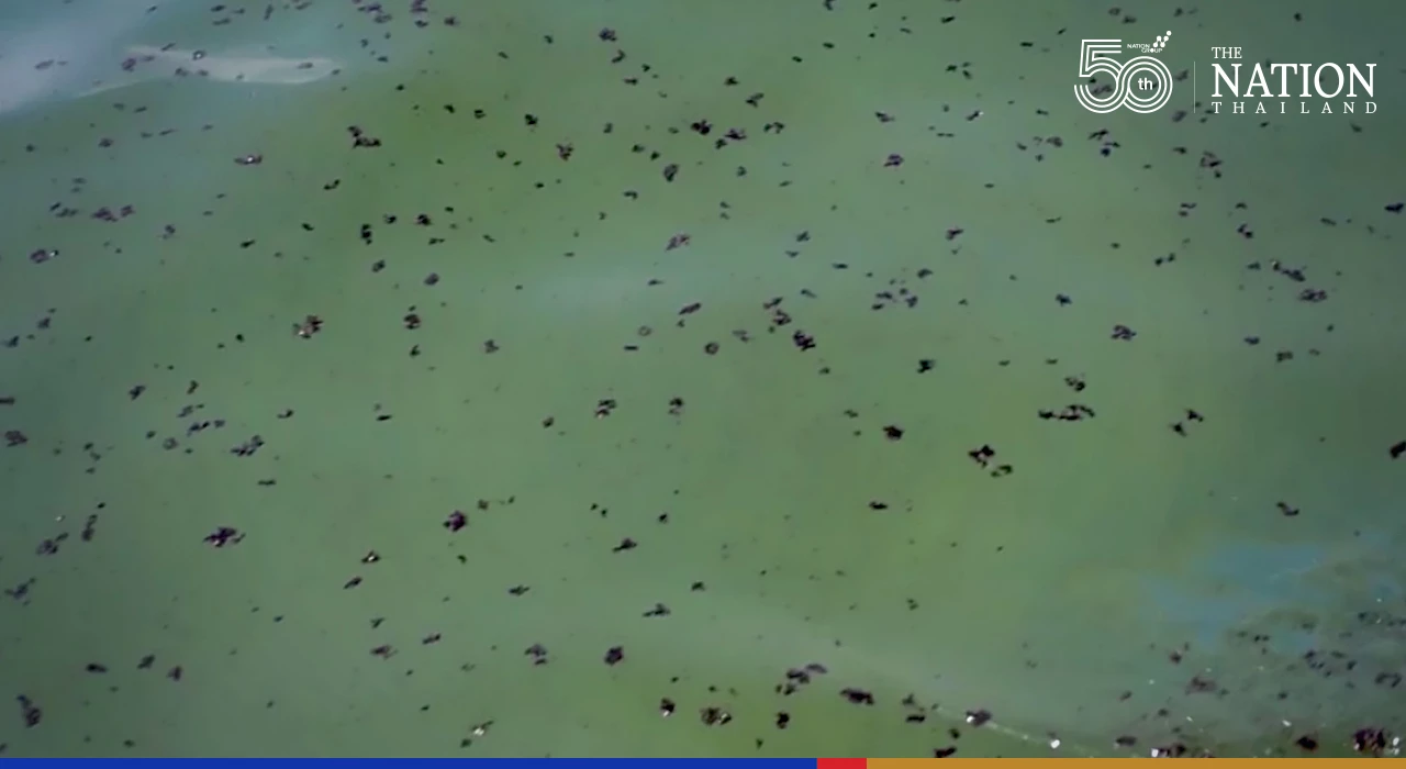 Impact of Rayong oil spill on marine ecosystem will only be visible in a year, says researcher