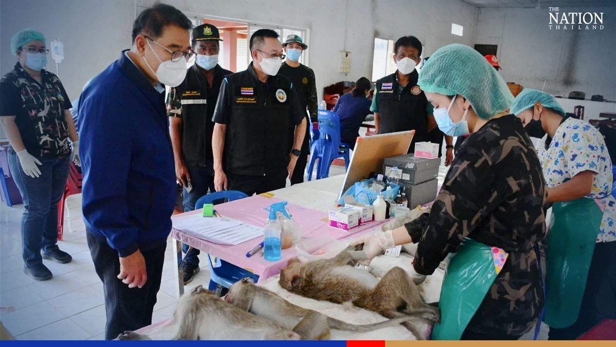 Phetchaburi macaques neutered to defuse population explosion