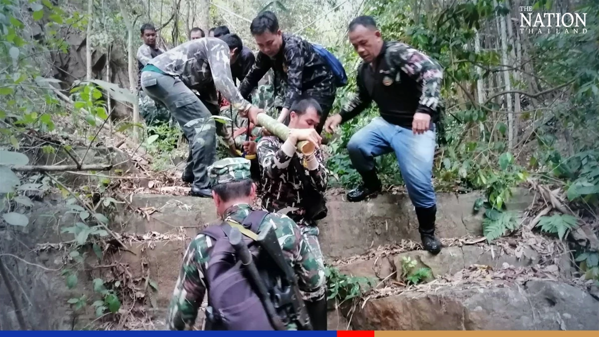 Wild bull charges at rangers in Phetchabun national park, injures 2