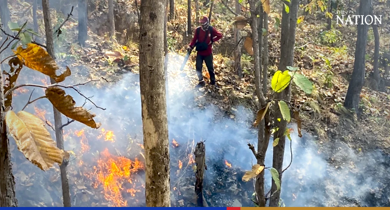 More forest fires spotted in Chiang Mai, foragers suspected