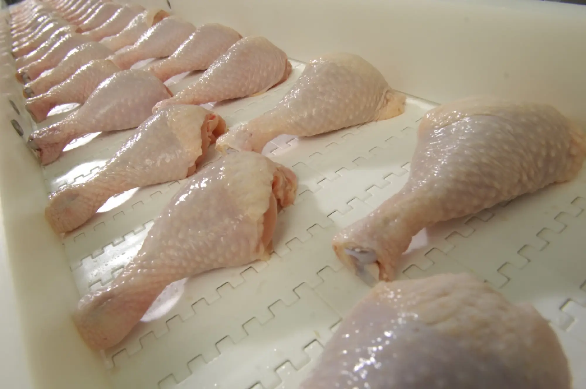 CP Foods thanks PM as it resumes chicken exports to Saudi Arabia