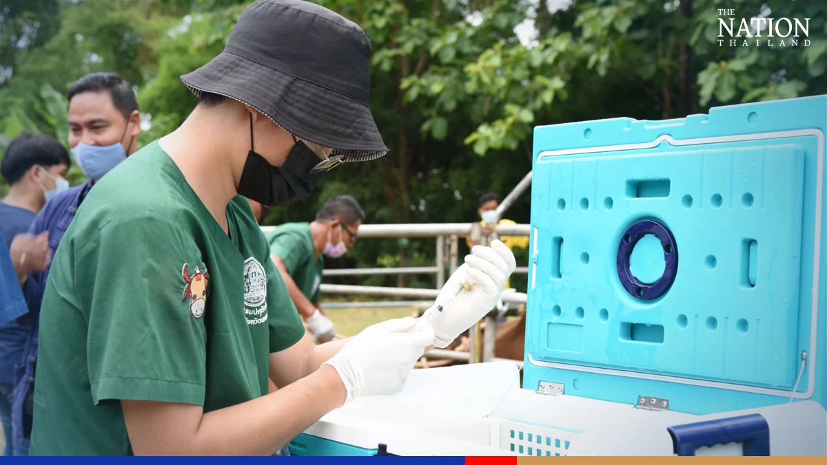 Home-made vaccine for cattle disease expected to cut imports by THB280m