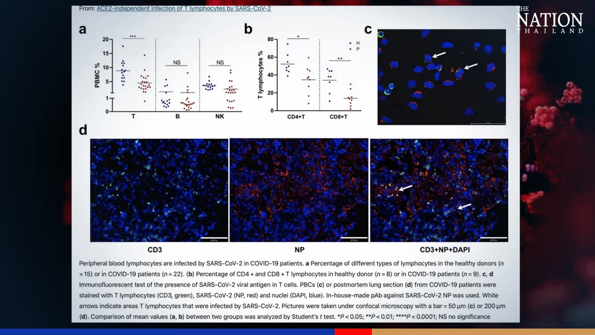 Covid virus attacks ‘master cells’ of immune system, say Chinese scientists