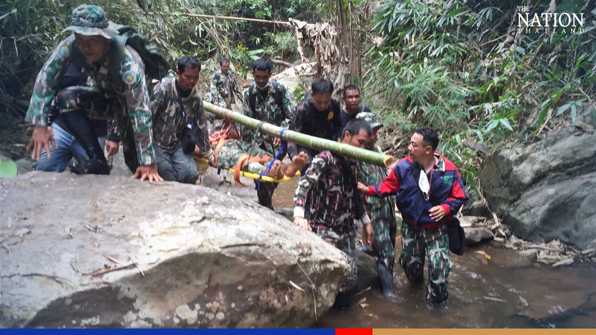 Wild bull charges at rangers in Phetchabun national park, injures 2