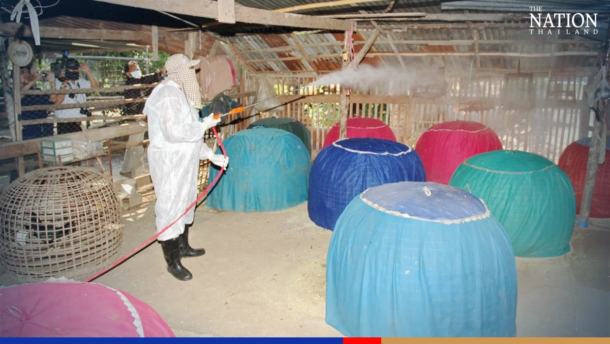 Thai poultry farmers urged to brace for new, more severe bird-flu strains