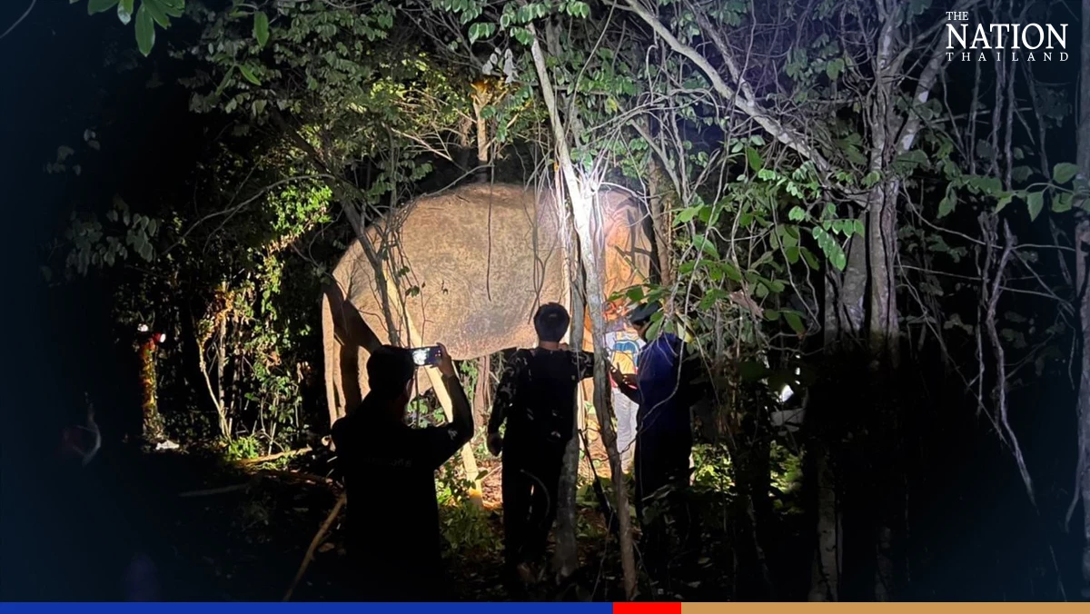 Rogue ‘10-wheel truck’ captured and moved to Chachoengsao wildlife sanctuary