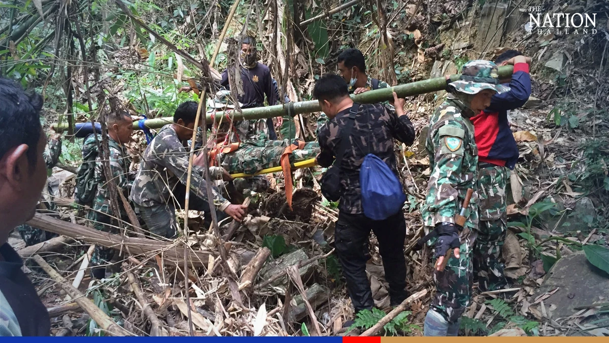 Wild bull charges at rangers in Phetchabun national park, injures 2