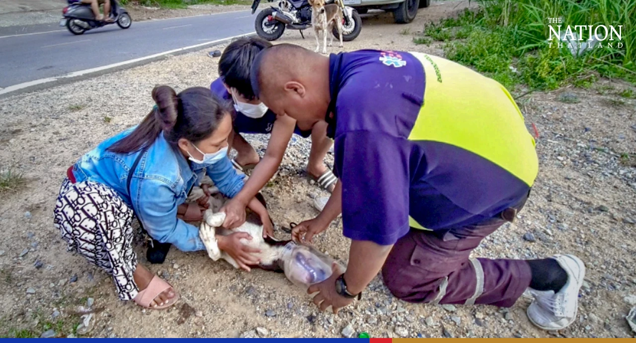 Stuck canine rescued just in time