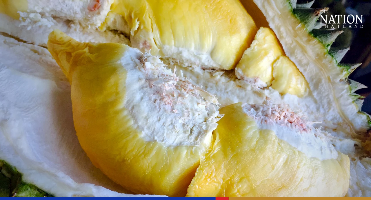 China’s Covid restrictions a bitter experience for Thai durian exporters