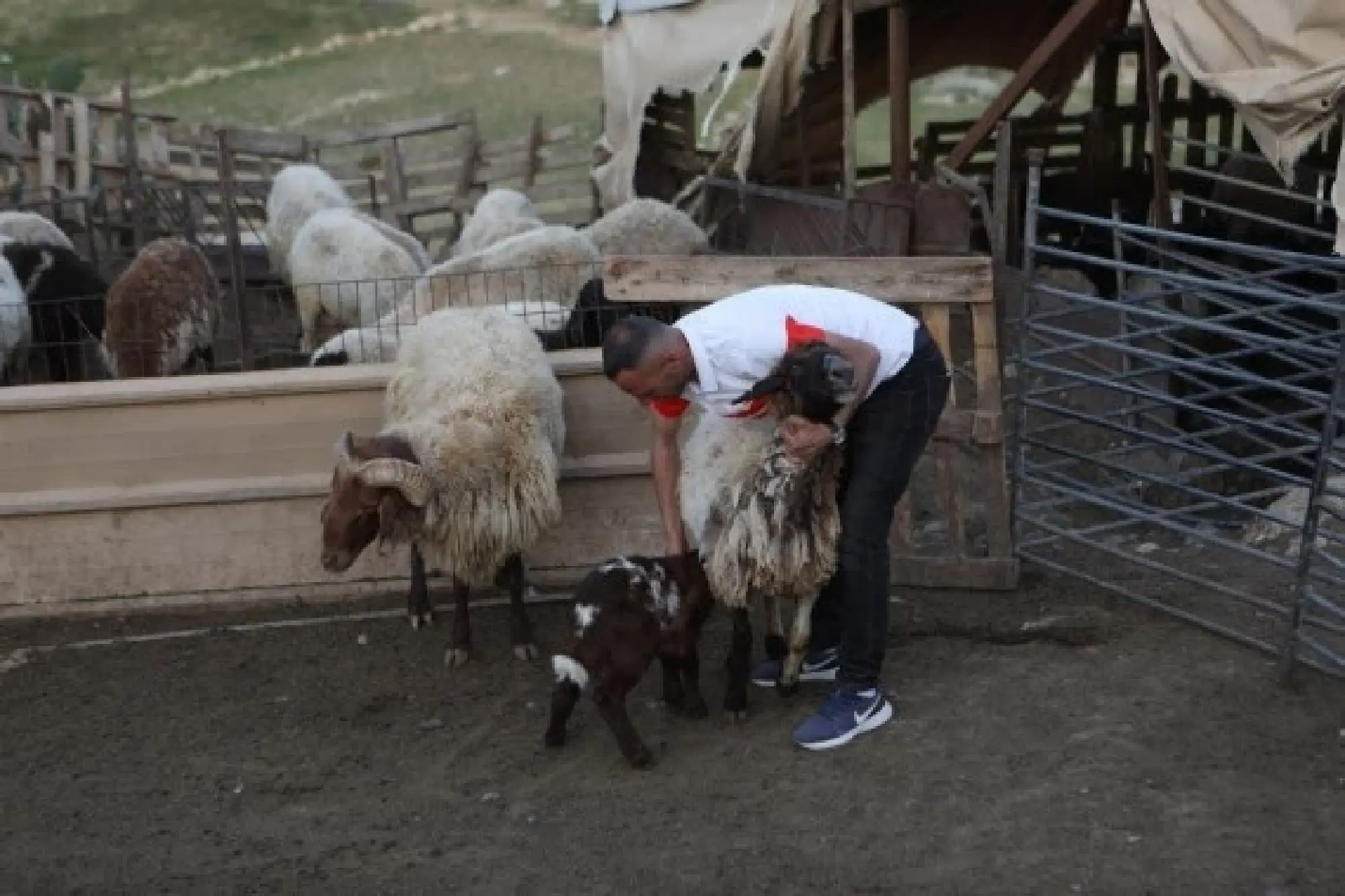 A member of al-Tell family is seen outside a cave, at Khirbet Zanuta village, south of the West Bank city of Hebron, on April 17, 2022. (Photo by Mamoun Wazwaz/Xinhua)