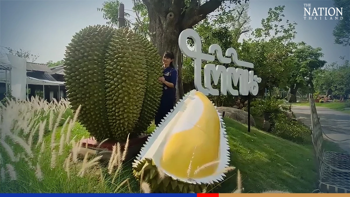 Chiang Mai restaurant proves a hot draw with durian spicy salad eating contest