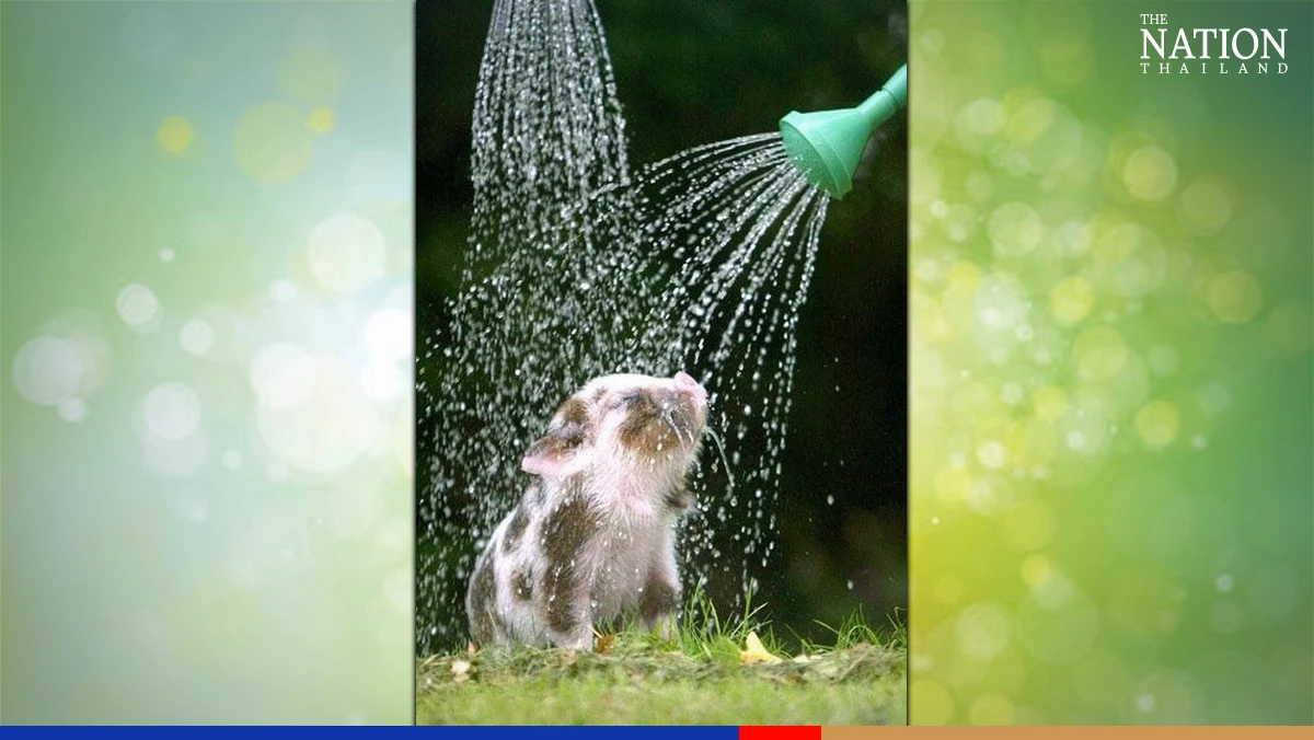 Best wishes for a glorious Songkran 2022