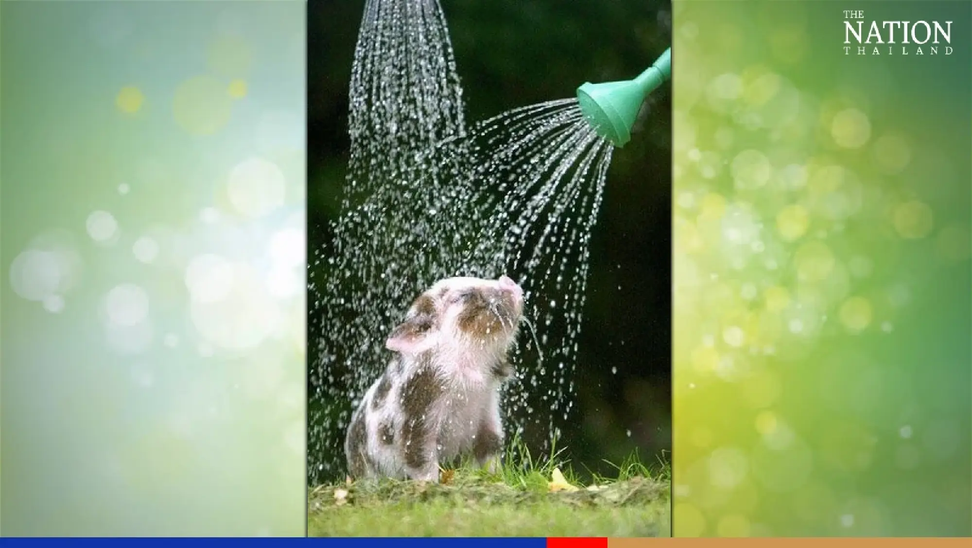 Best wishes for a glorious Songkran 2022