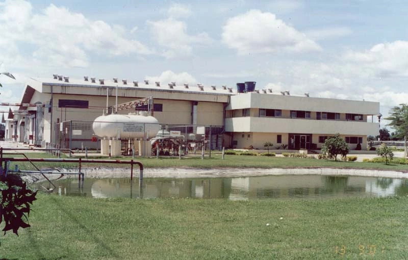 Dow teams up with Thepvimol Plastic to develop low-carbon frozen food packaging trays