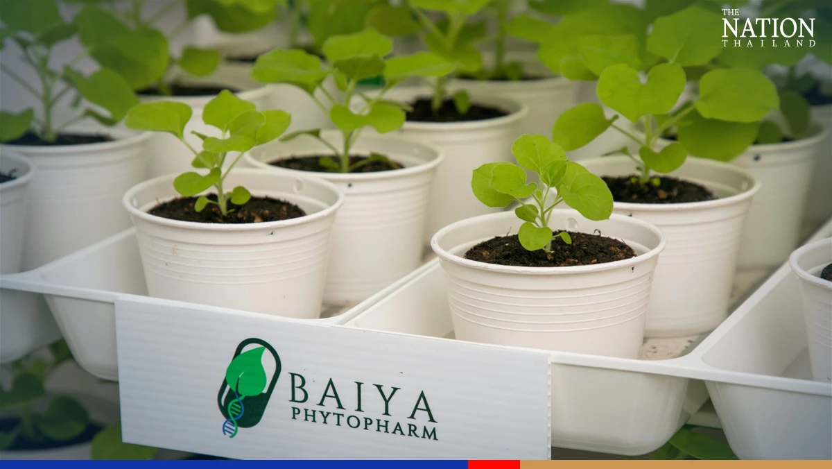 Cabinet nod for clinical trials on humans of plant-based Covid vaccine