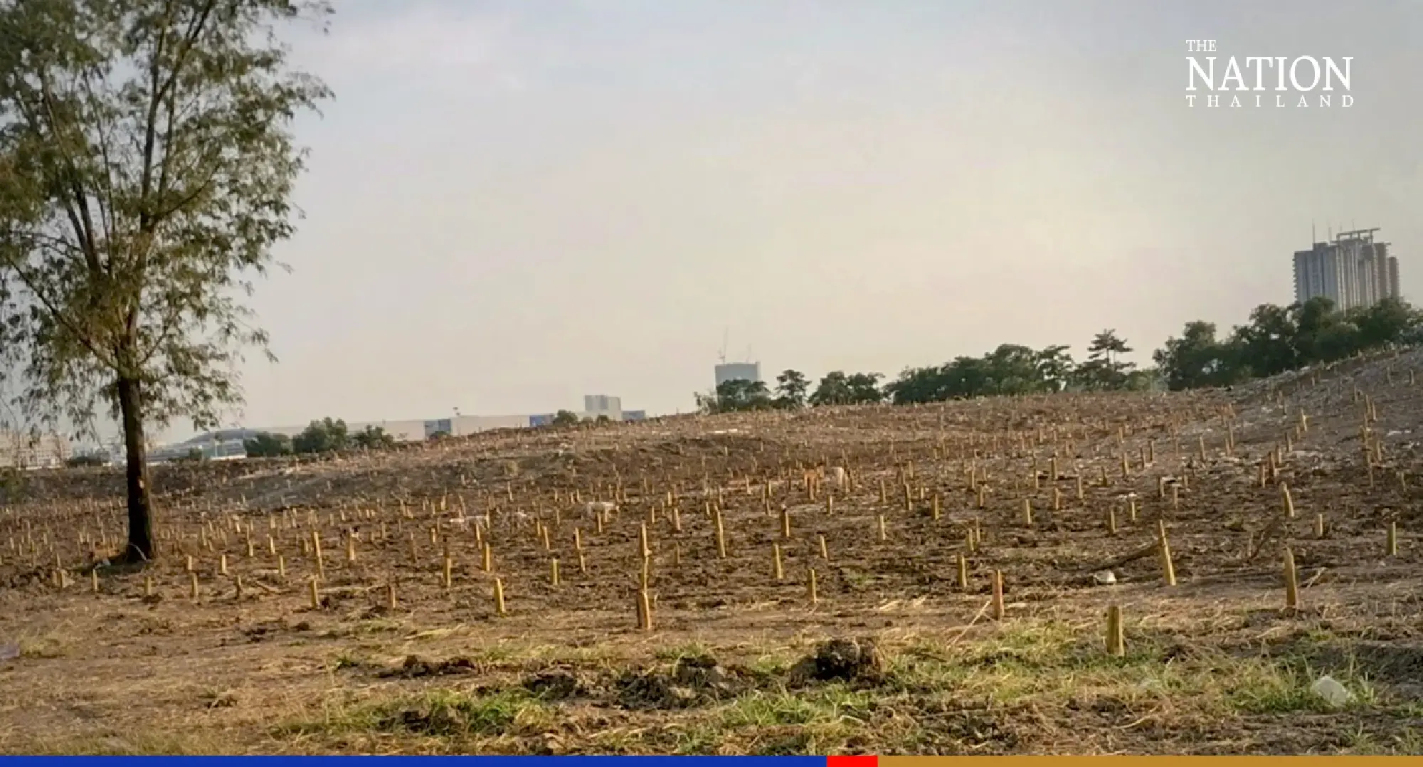 Property developer’s Facebook post highlighting ‘green image’ backfires