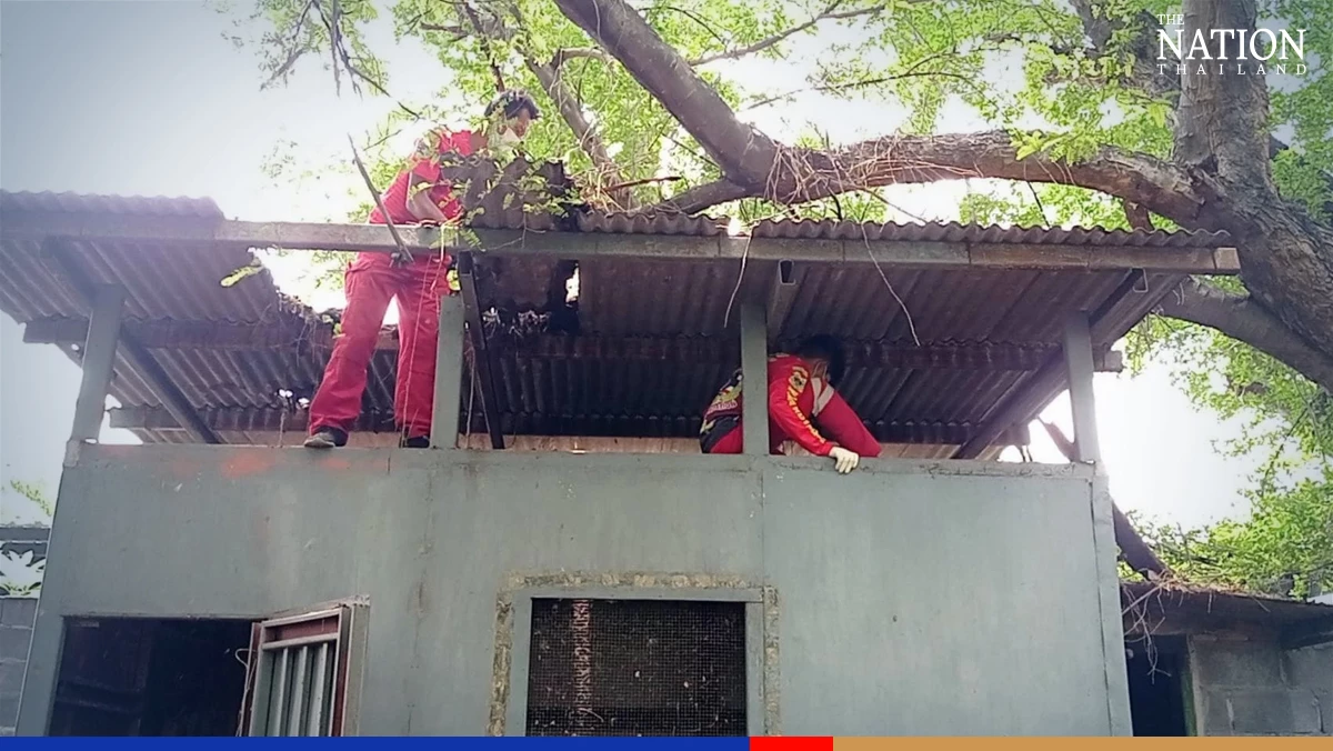 Man of ‘endless love’ becomes volunteer to do good for late wife