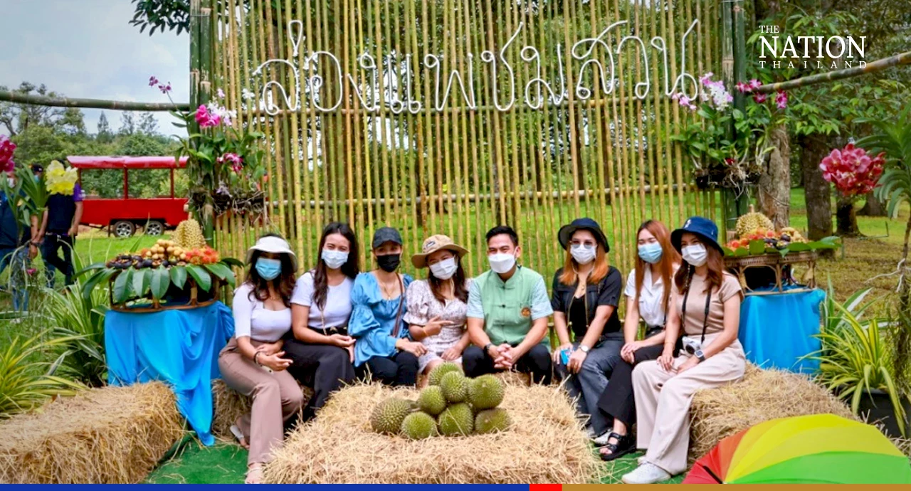 Rayong's famed fruit orchards open gates to foodie paradise