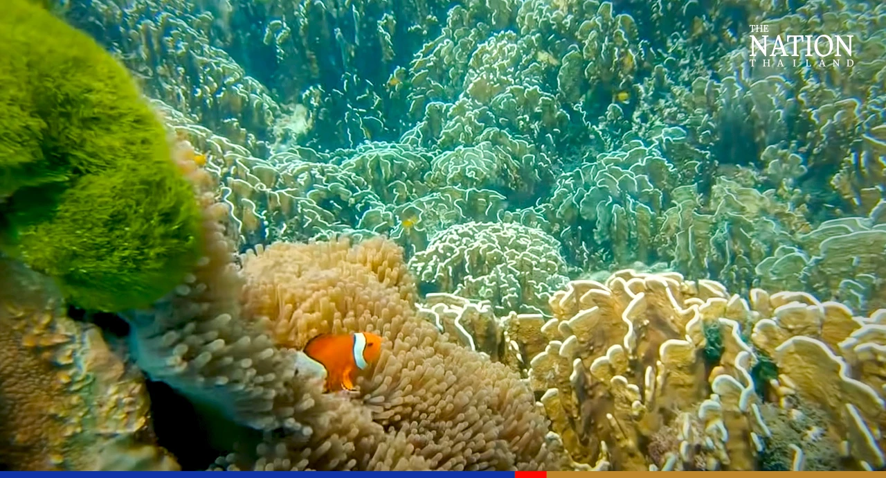 Similan and Surin islands emptied of tourists for 5-month rehab