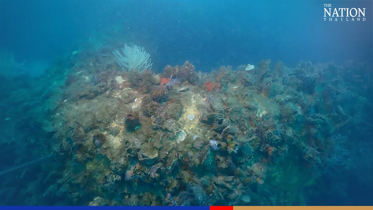 Rig-to-reef project proves successful in Koh Pha-ngan