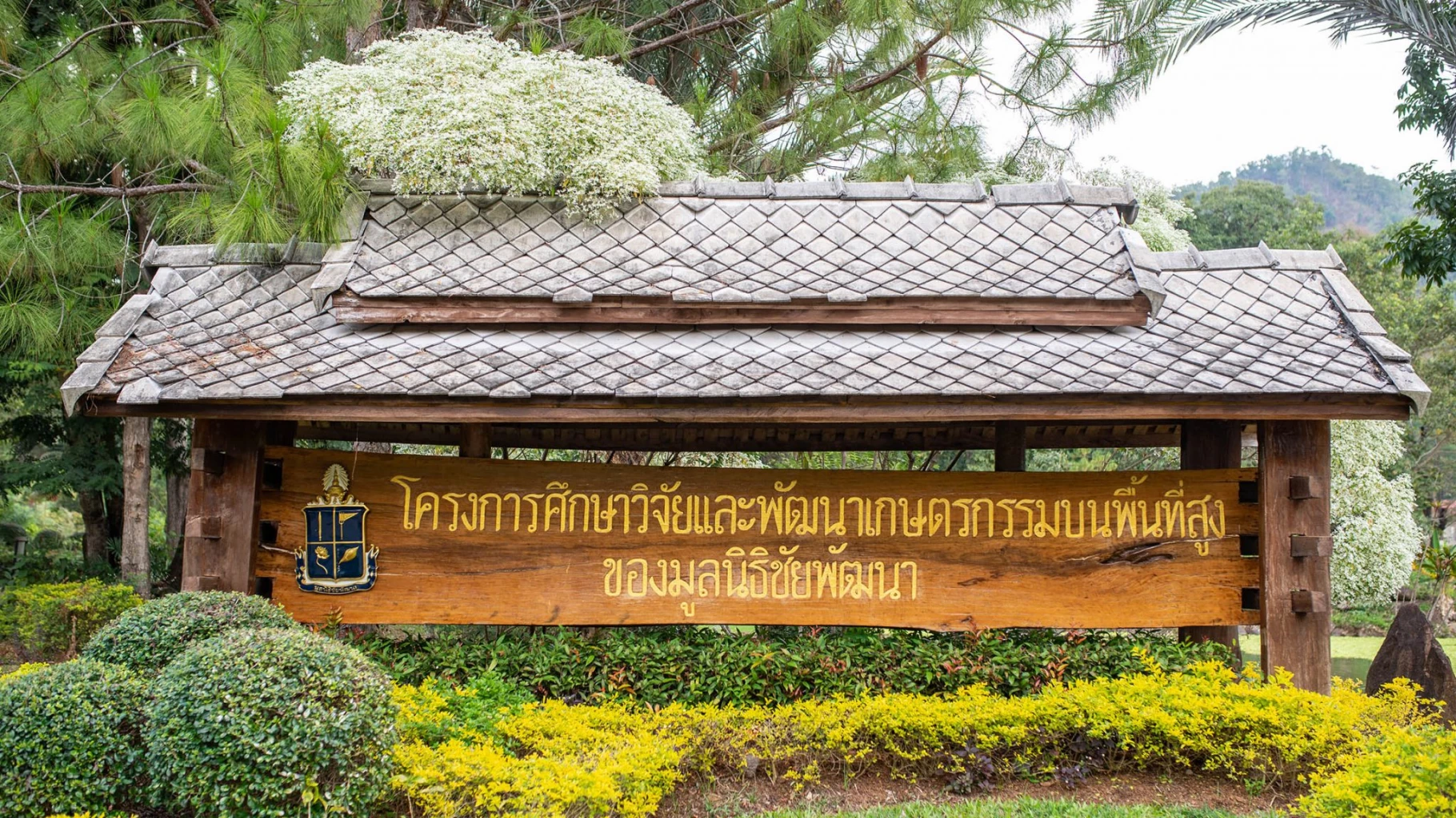 dtac, Chaipattana Foundation and NECTEC Reveal Major Breakthrough on Lingzhi Cultivation via 5G on 700 MHz