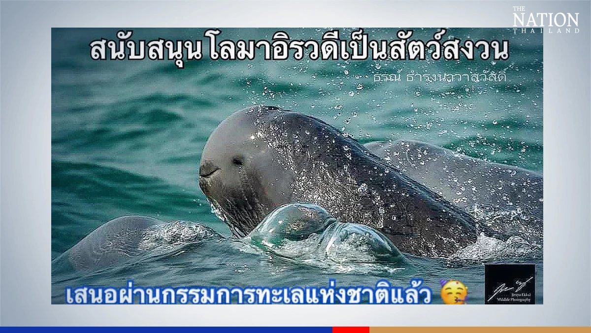Thailand adds Irrawaddy dolphins to ‘reserved’ list as extinction beckons