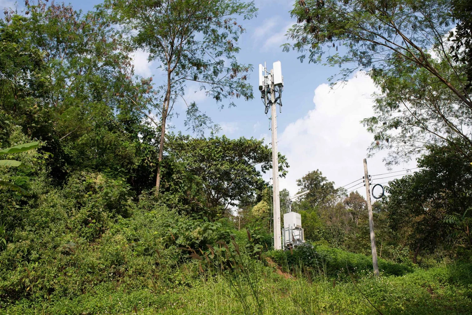 dtac, Chaipattana Foundation and NECTEC Reveal Major Breakthrough on Lingzhi Cultivation via 5G on 700 MHz