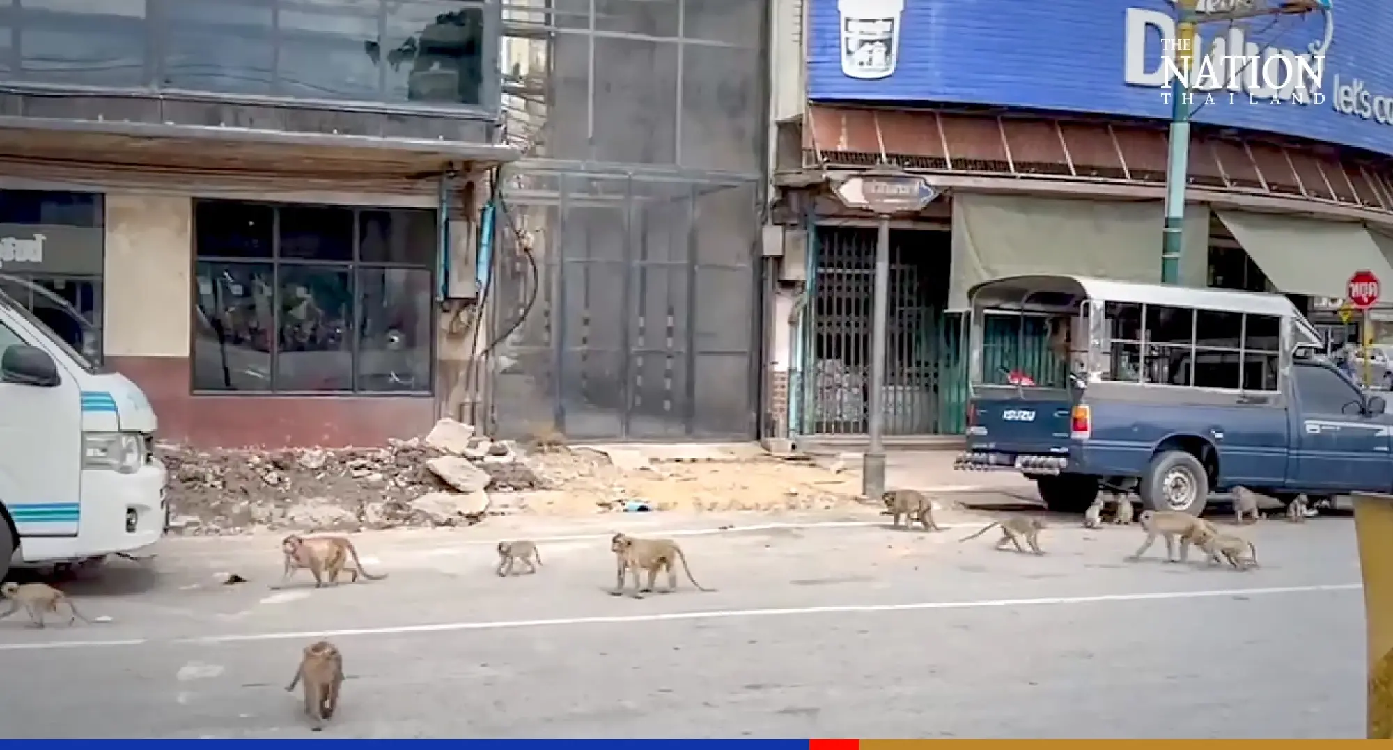 Monkeypox no worry for Lopburi residents living amid monkeys