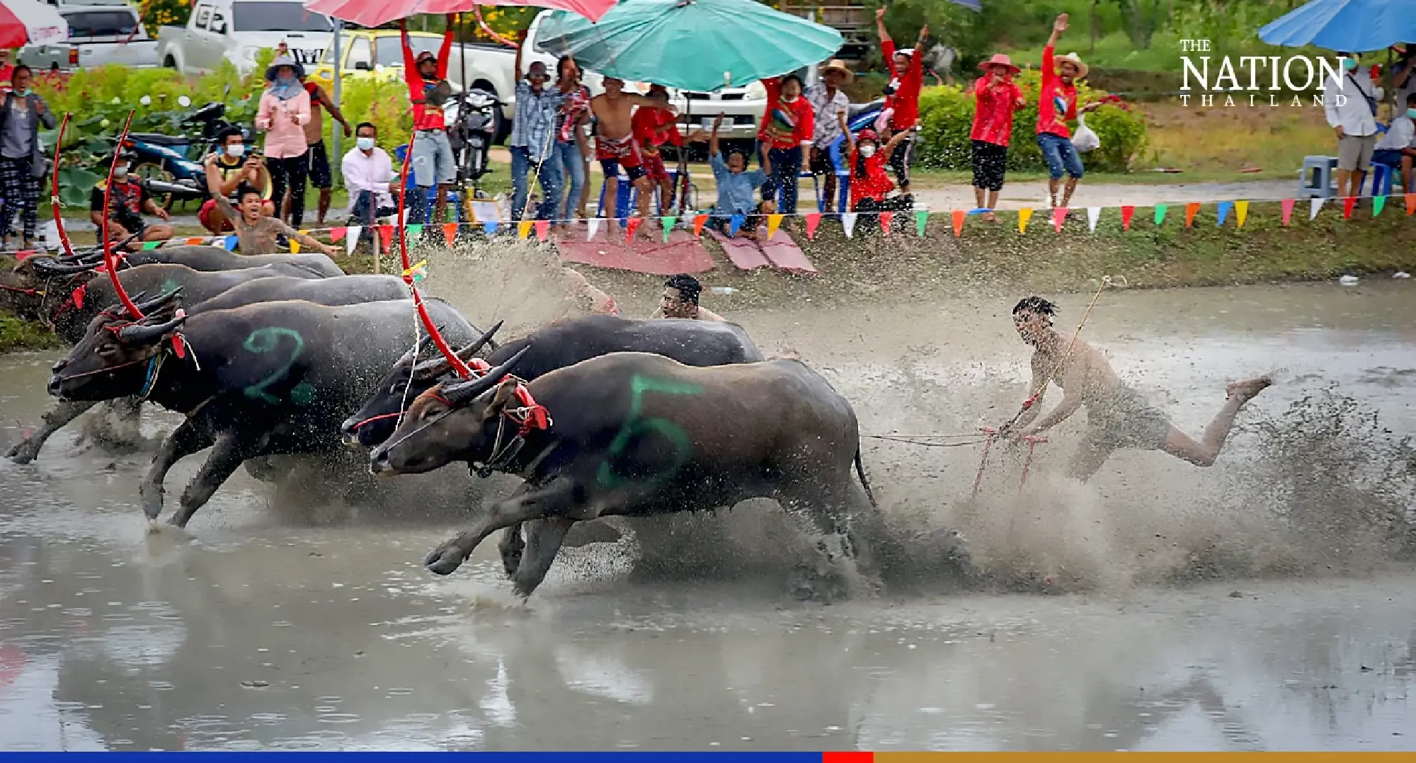 Photo Credit: Wanchai Kraisornkhajit