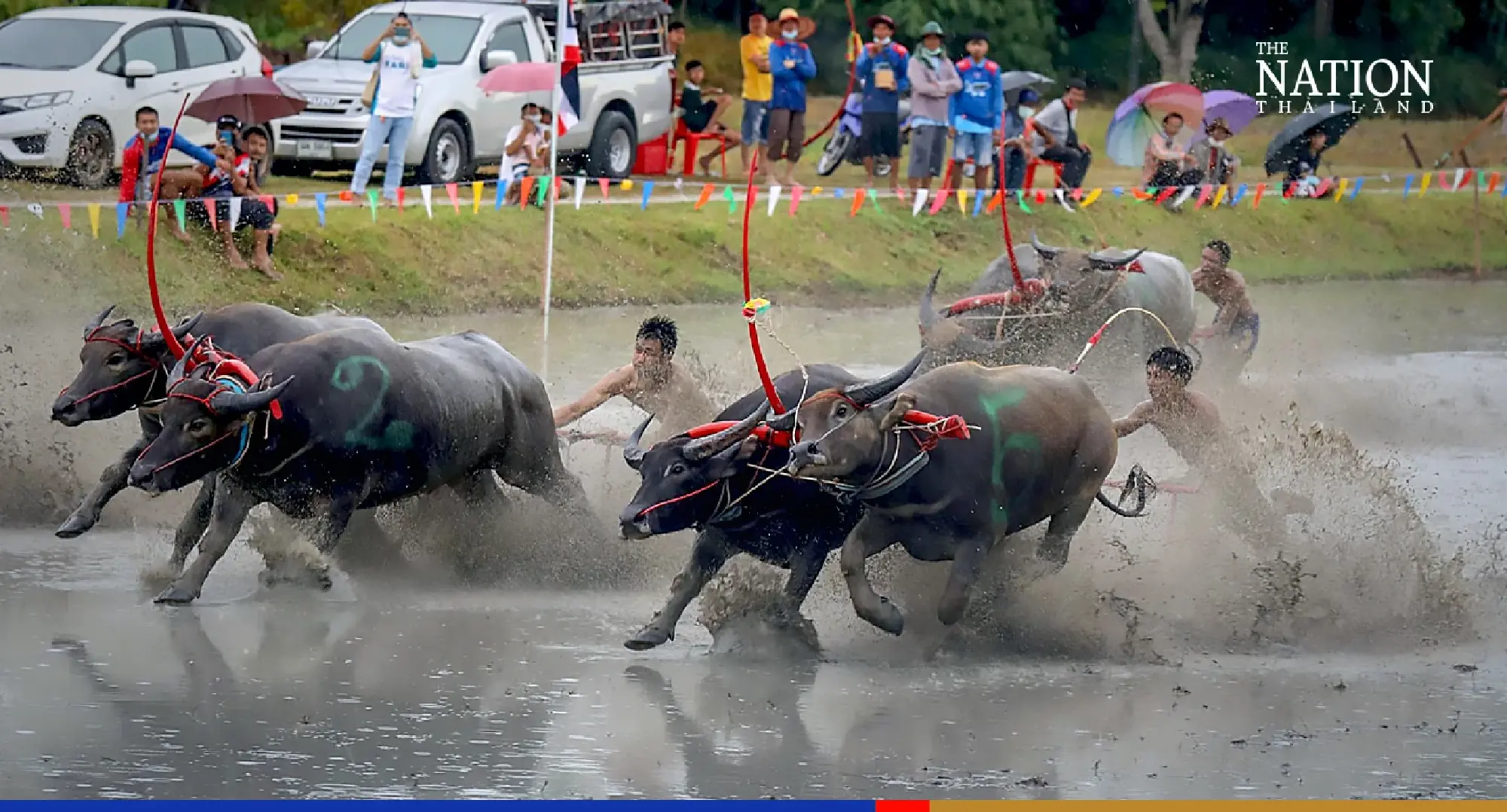 Photo Credit: Wanchai Kraisornkhajit