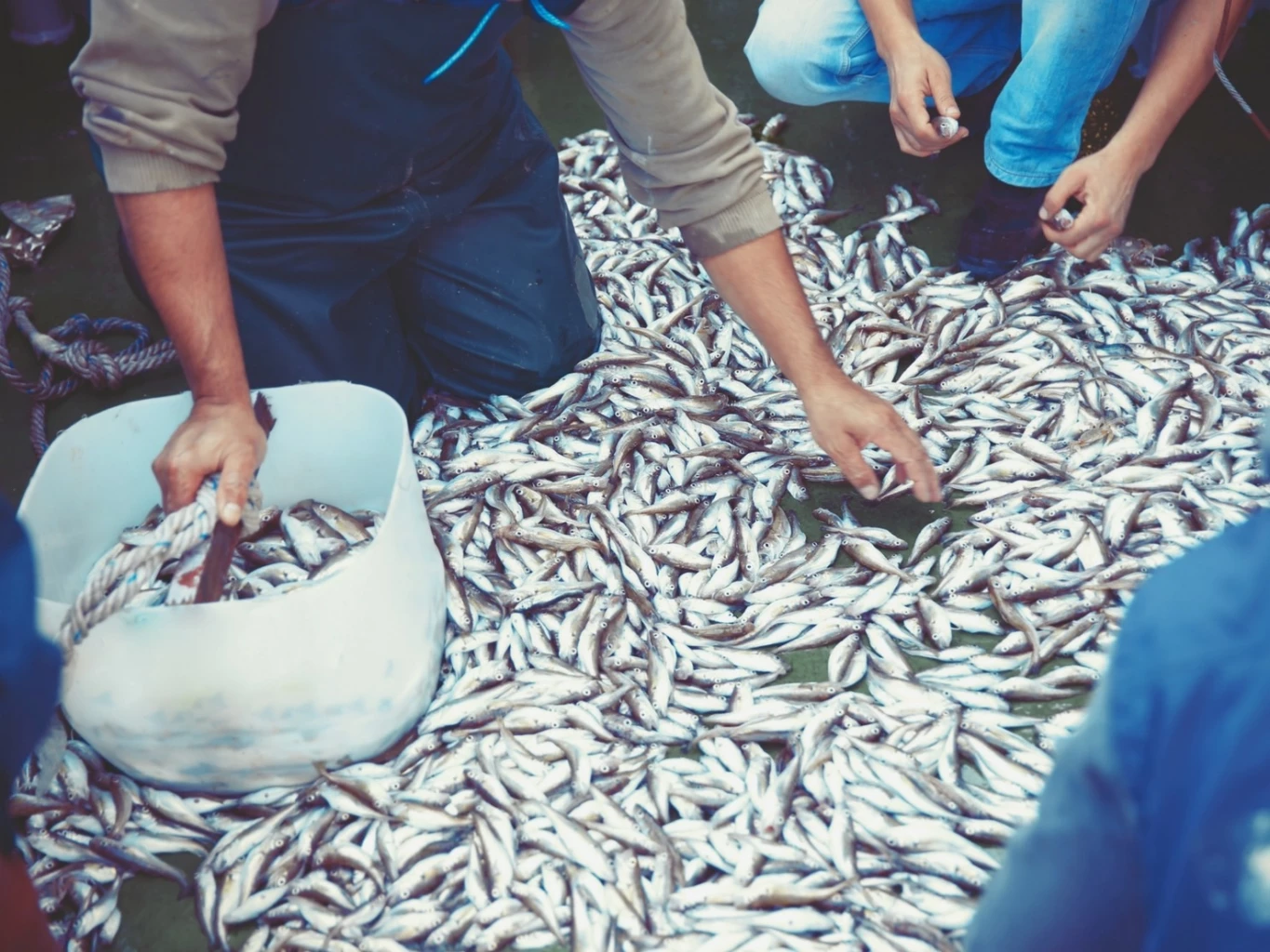 Revealing key strategies catapulting Thai brands to greater heights and world markets: JERADA Bird’s Nest and Cae Dean Frozen Seafood lauded as Central Thailand’s rising exporters from 4th annual Young Exporter from Local to Global (YELG) workshop