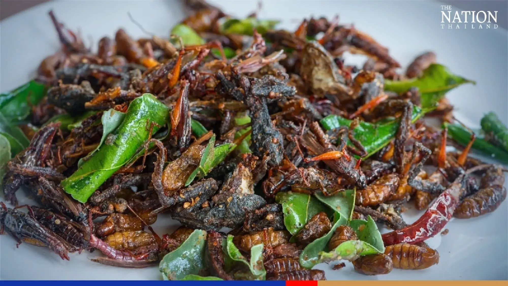 DITP seeks export boost of edible insects to US amid rising market buzz