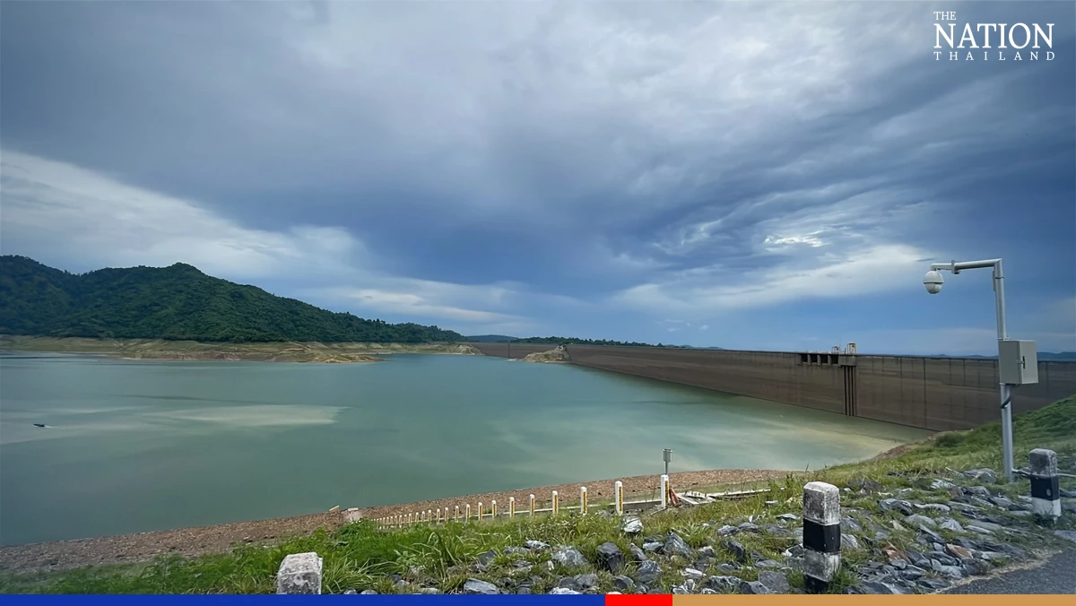 Look out! It’s a jungle out there