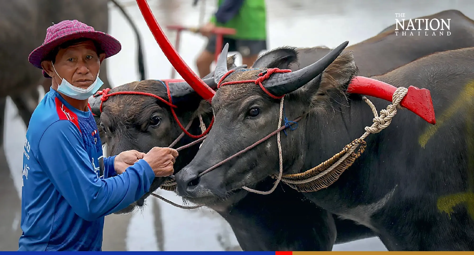 Photo Credit: Wanchai Kraisornkhajit